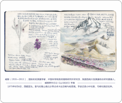 展区五：“科学家手稿”主题展区
